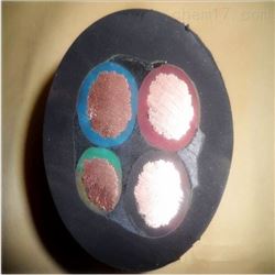 國標(biāo)線300/500V防水JHS橡套軟電纜