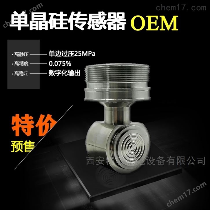 單晶硅傳感器-芯片