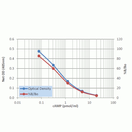 <strong>Direct cAMP ELISA kit</strong> Standard curve - Acetylated <strong>Direct cAMP ELISA kit</strong> Standard curve - Acetylated
